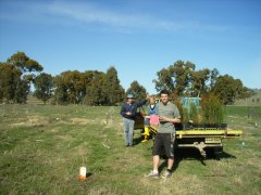 Tree plot 1 July 06.JPG